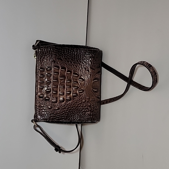 BRAHMIN - Picture 2 of 16
